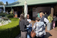 20250913_005639234_iOS